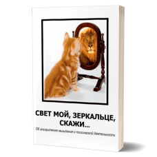 Свет мой зеркальце скажи… | Внутренний Предиктор